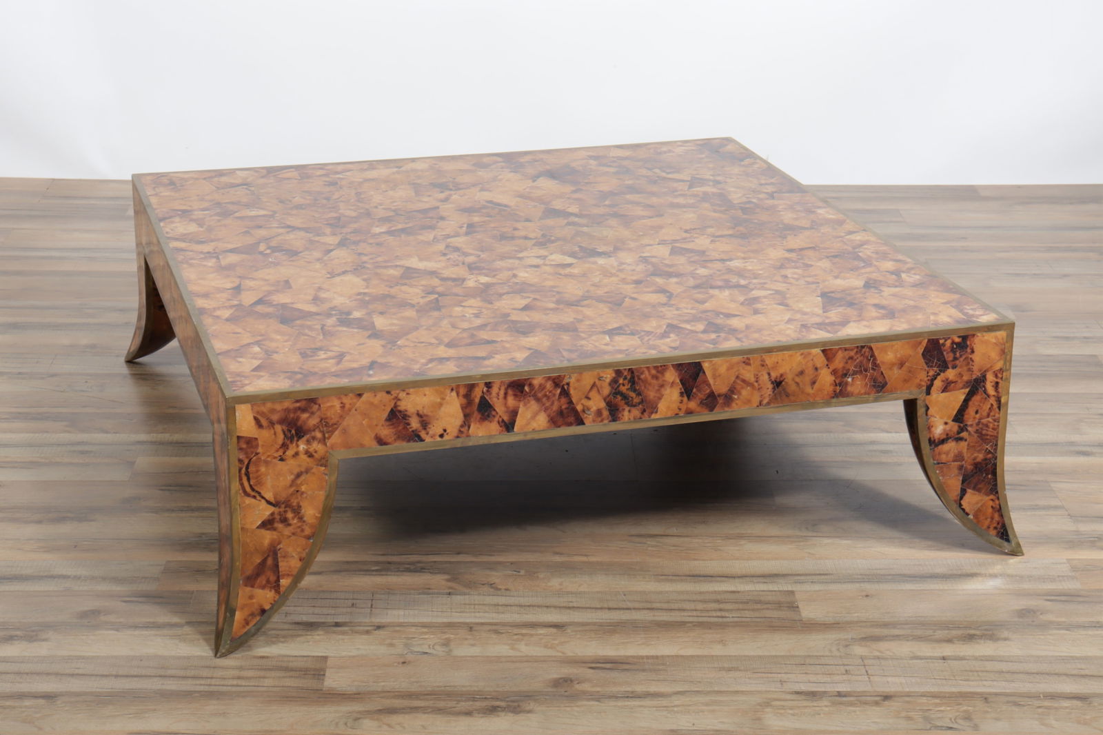 70's Brass & Faux Tortoise Veneered Coffee Table (1 of 9)