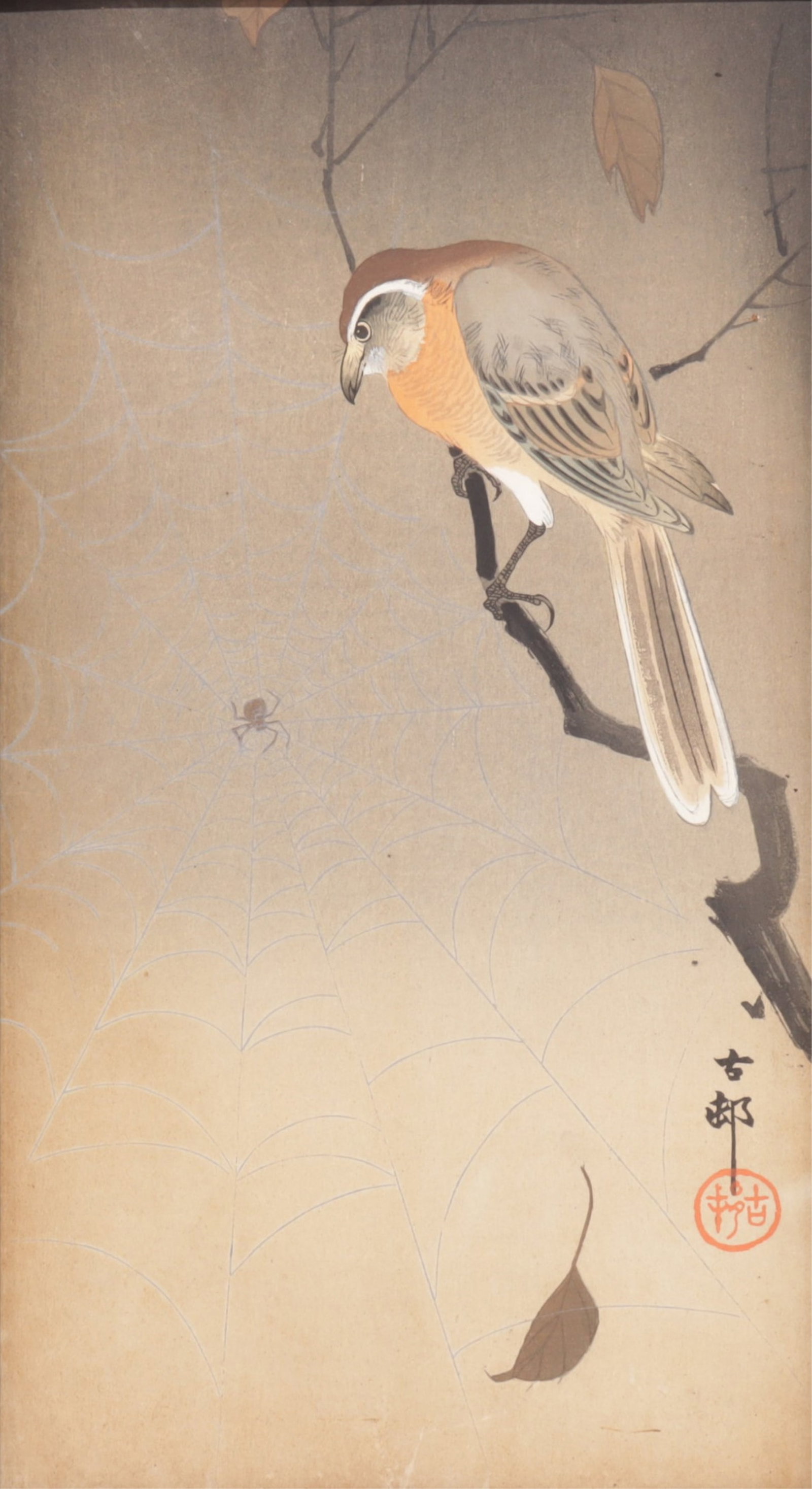 Ohara Koson - Bird & Spider: Ohara Koson, "Bird & Spider", Japanese Woodblock Print Sight 13.5" H x 7.25" W, Framed 14.75" H x 8.75" W
