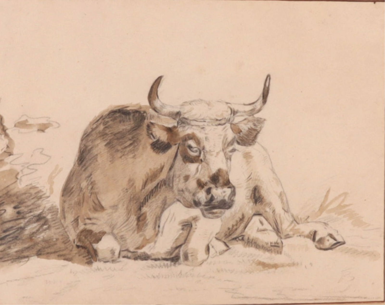 Continental School, 19th C. - Recumbent Bull: Continental School, 19th C., "Recumbent Bull", Pencil & WashSight 5.75" H x 7.5" W