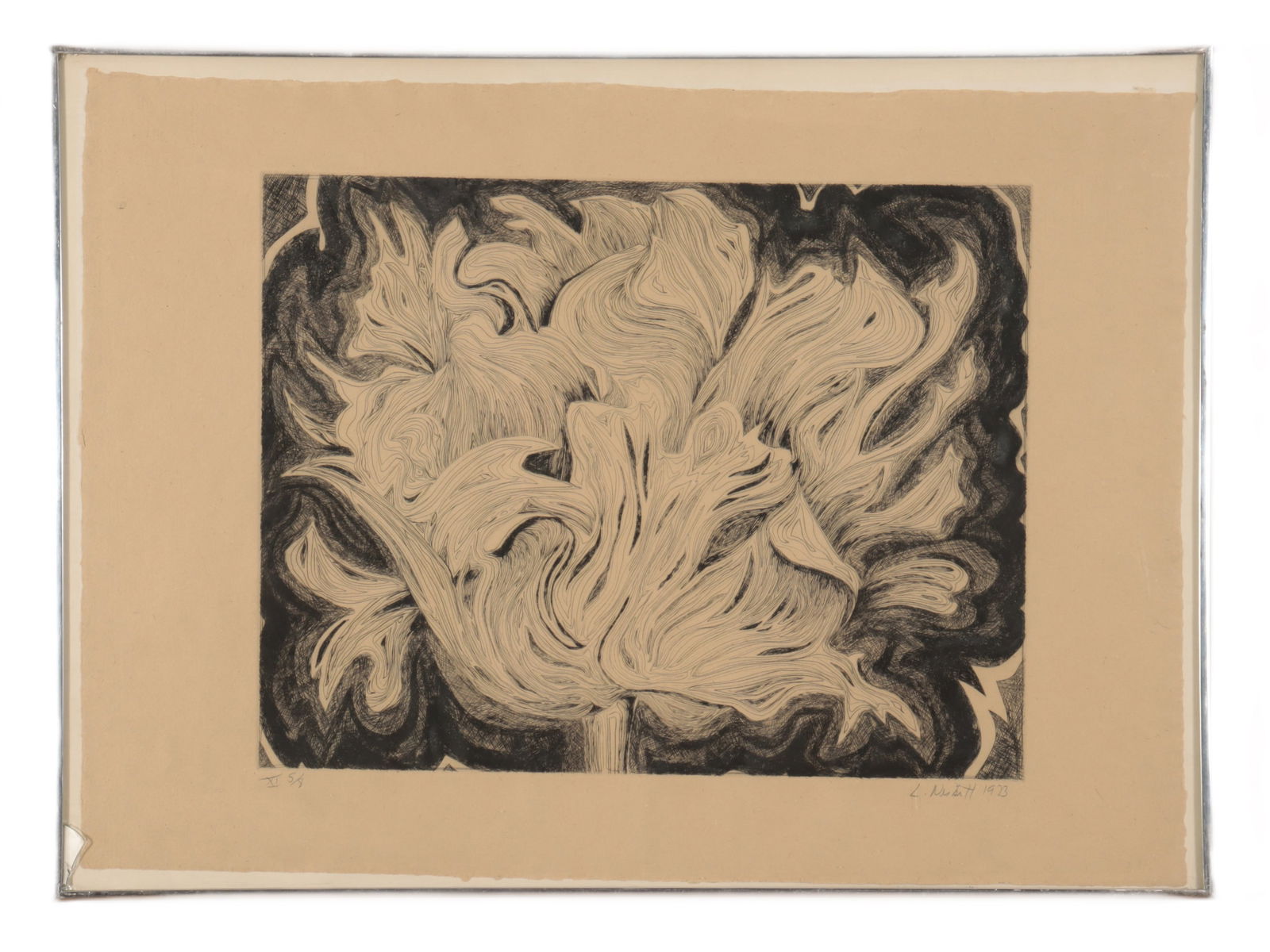 Nesbitt - "Parrot Tulip" (1 of 6)