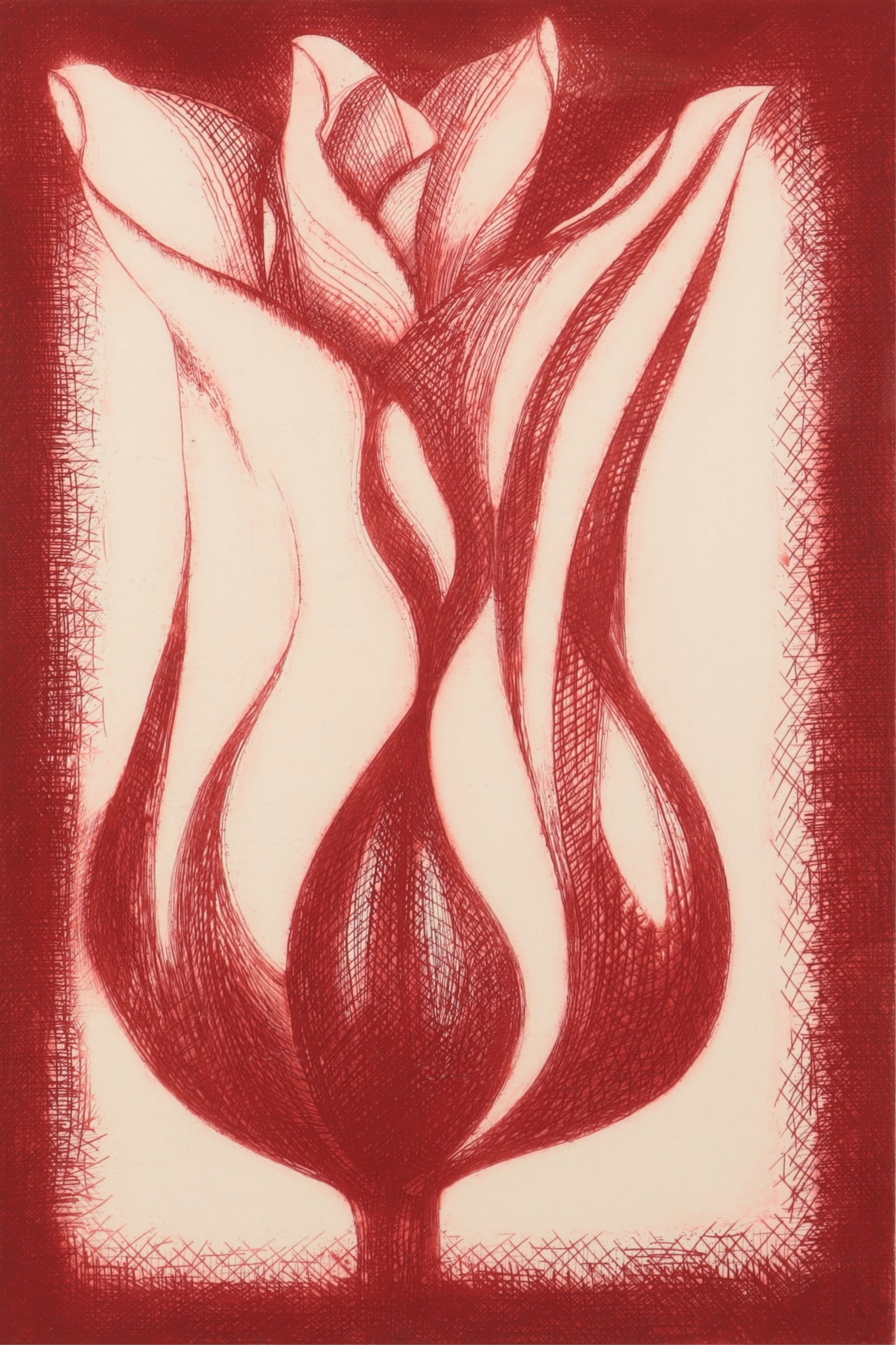 Nesbitt - "Tulip" (1 of 6)