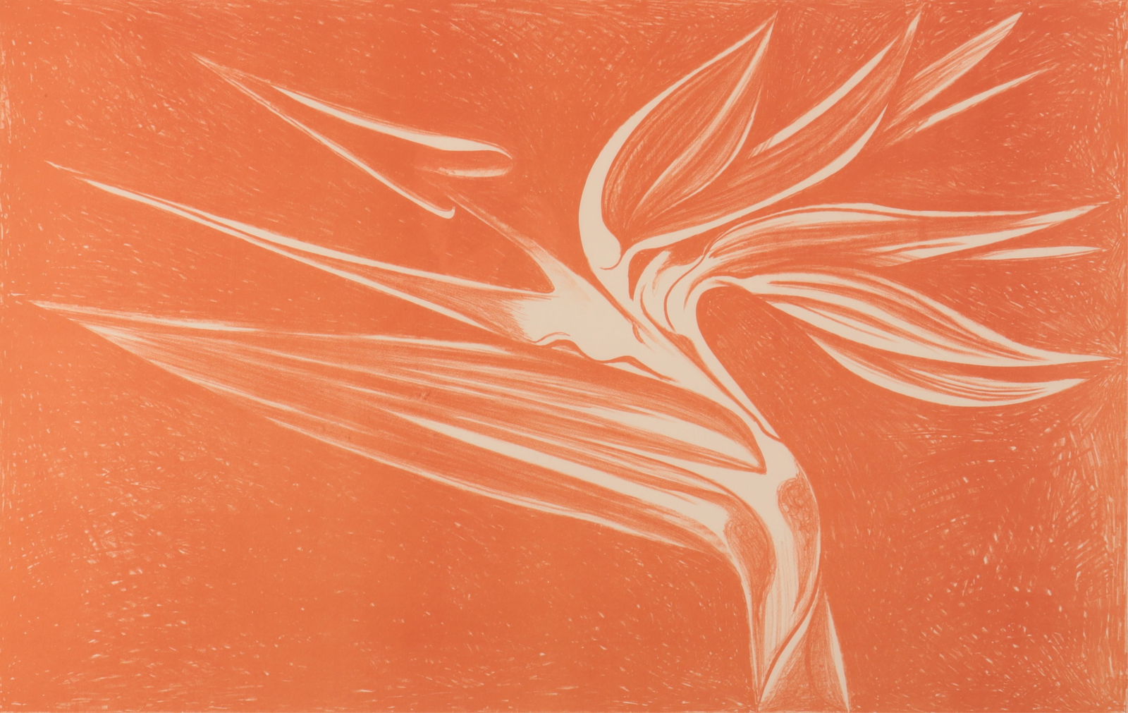 Nesbitt - "Birds of Paradise" 1980 (1 of 7)