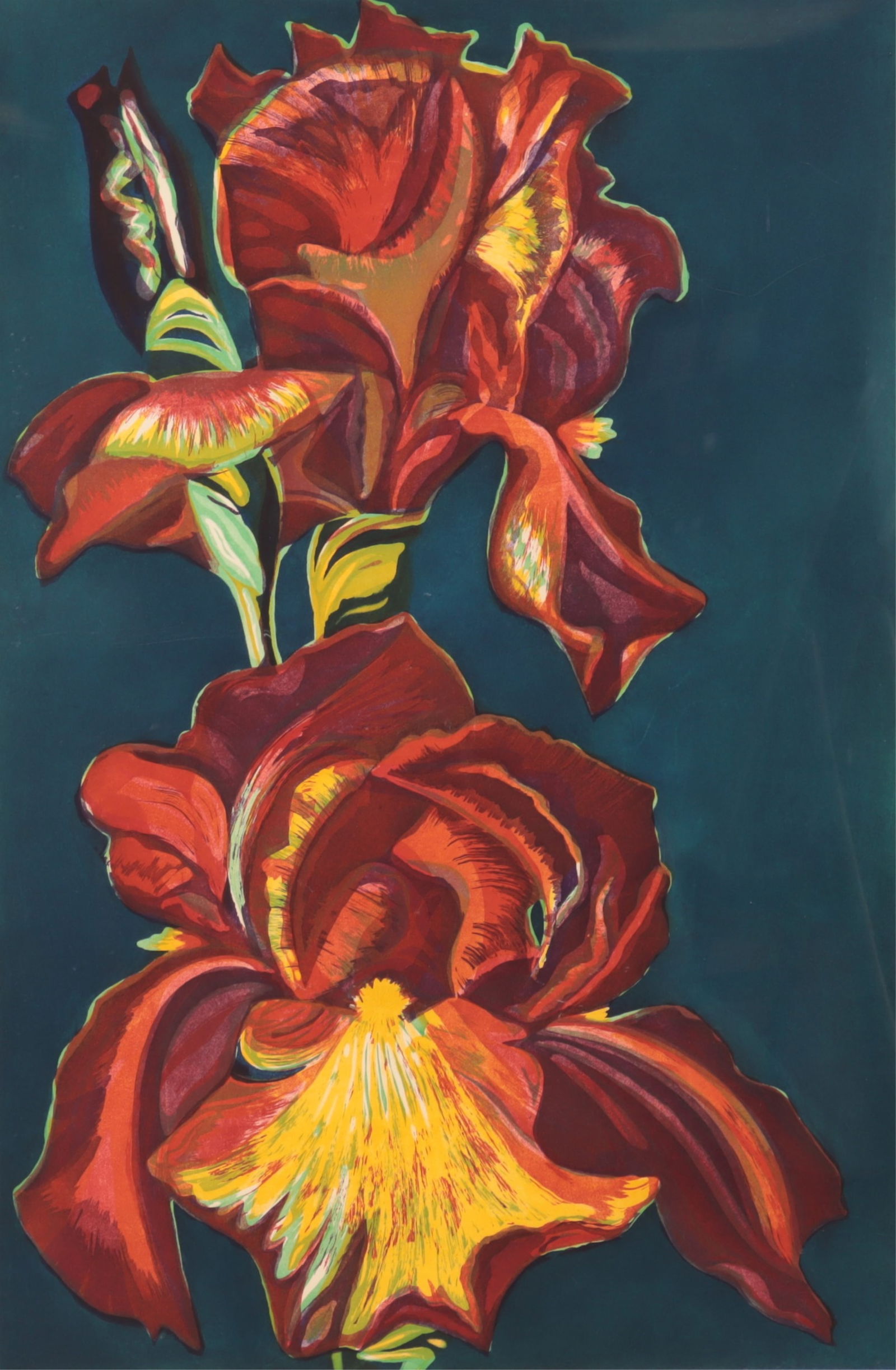 Nesbitt - Iris 1974 (1 of 8)