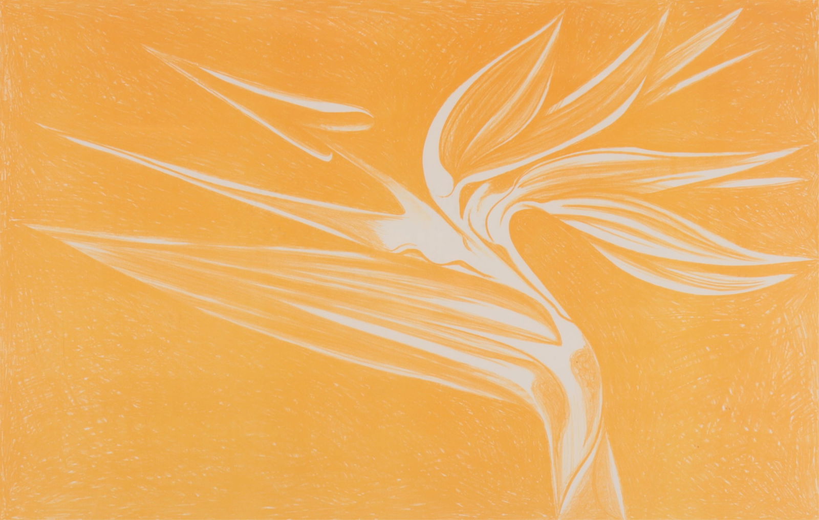 Nesbitt - "Birds of Paradise" Yellow (1 of 6)