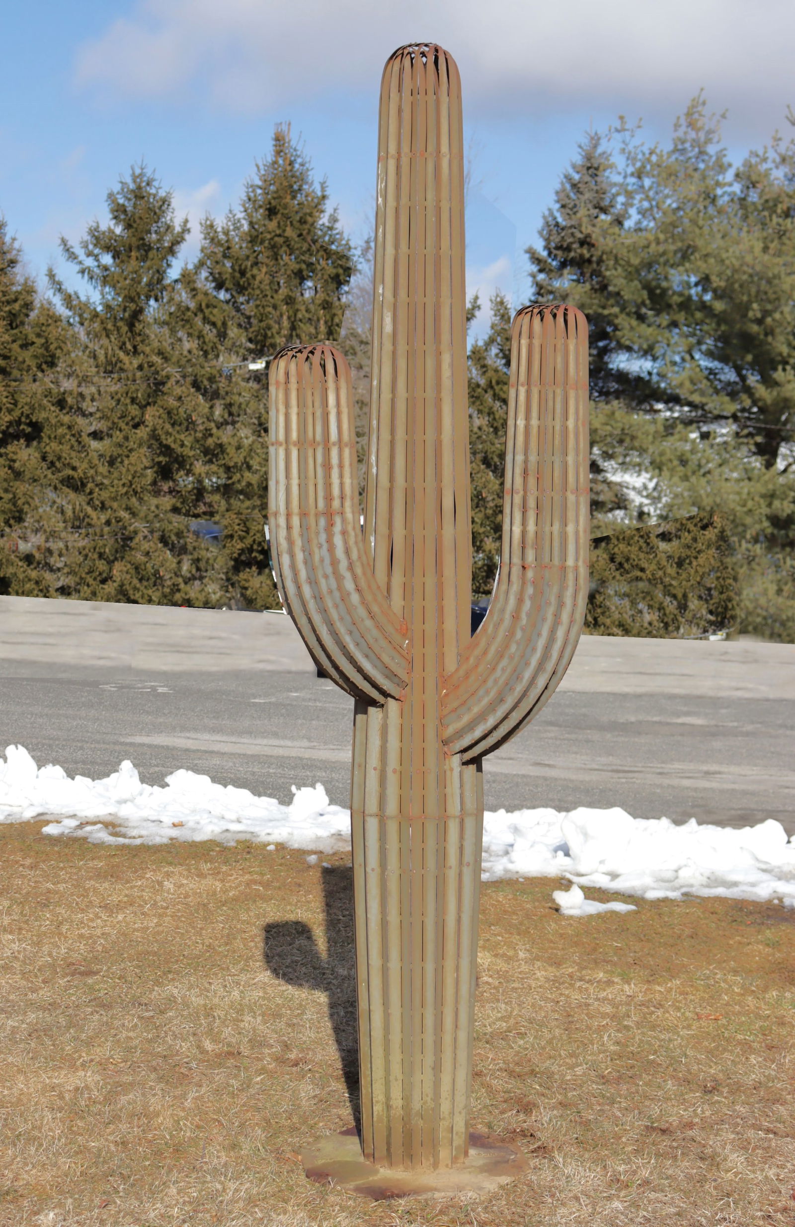 Desert Steel - Saguaro Cactus (1 of 12)