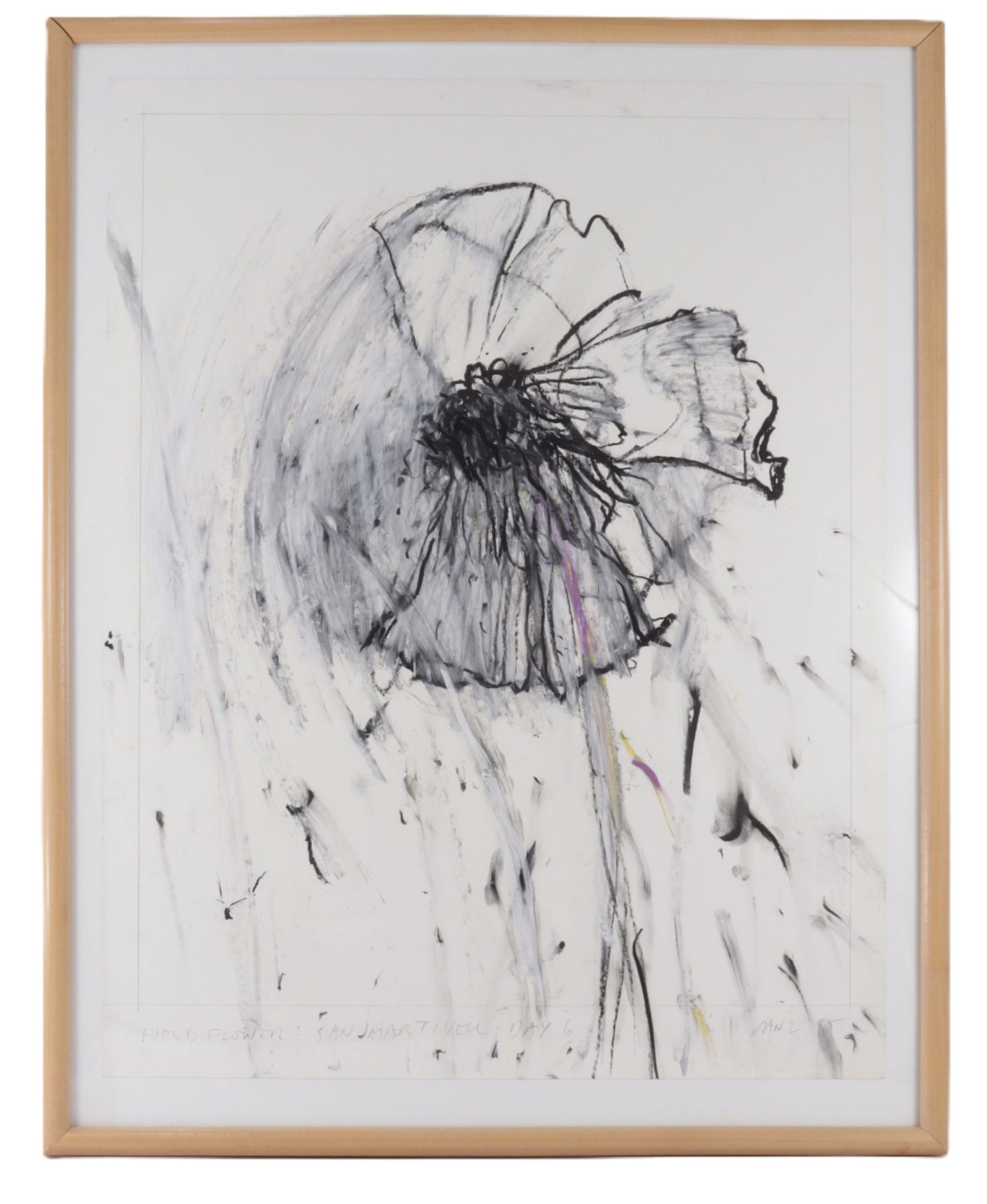 Robert Janz - Field Flower - Mixed Media (1 of 8)