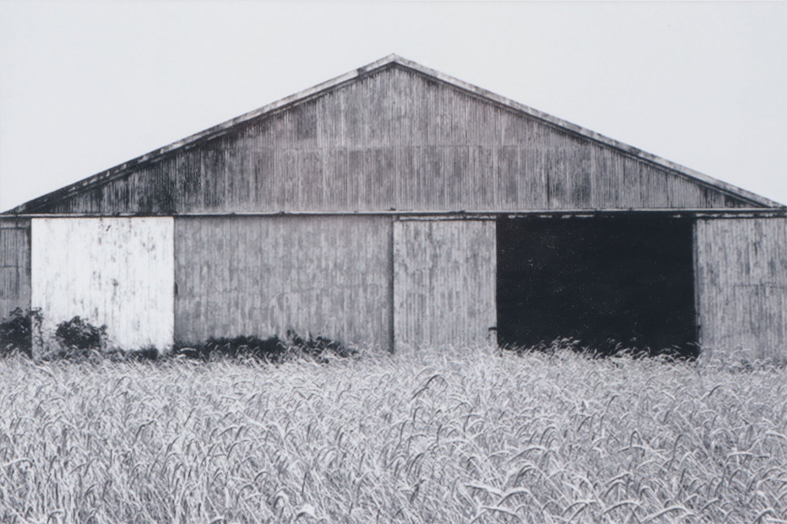 Ellsworth Kelly - Southampton Barn - Photograph (1 of 6)