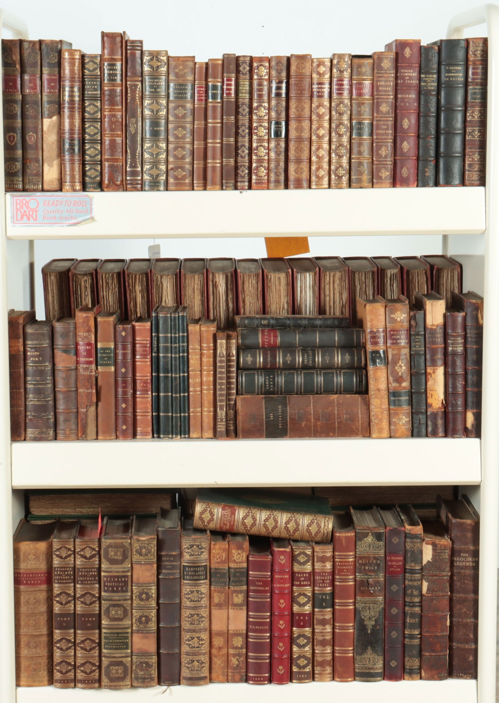 Leather Bound Collection - 19/20th C. (1 of 11)