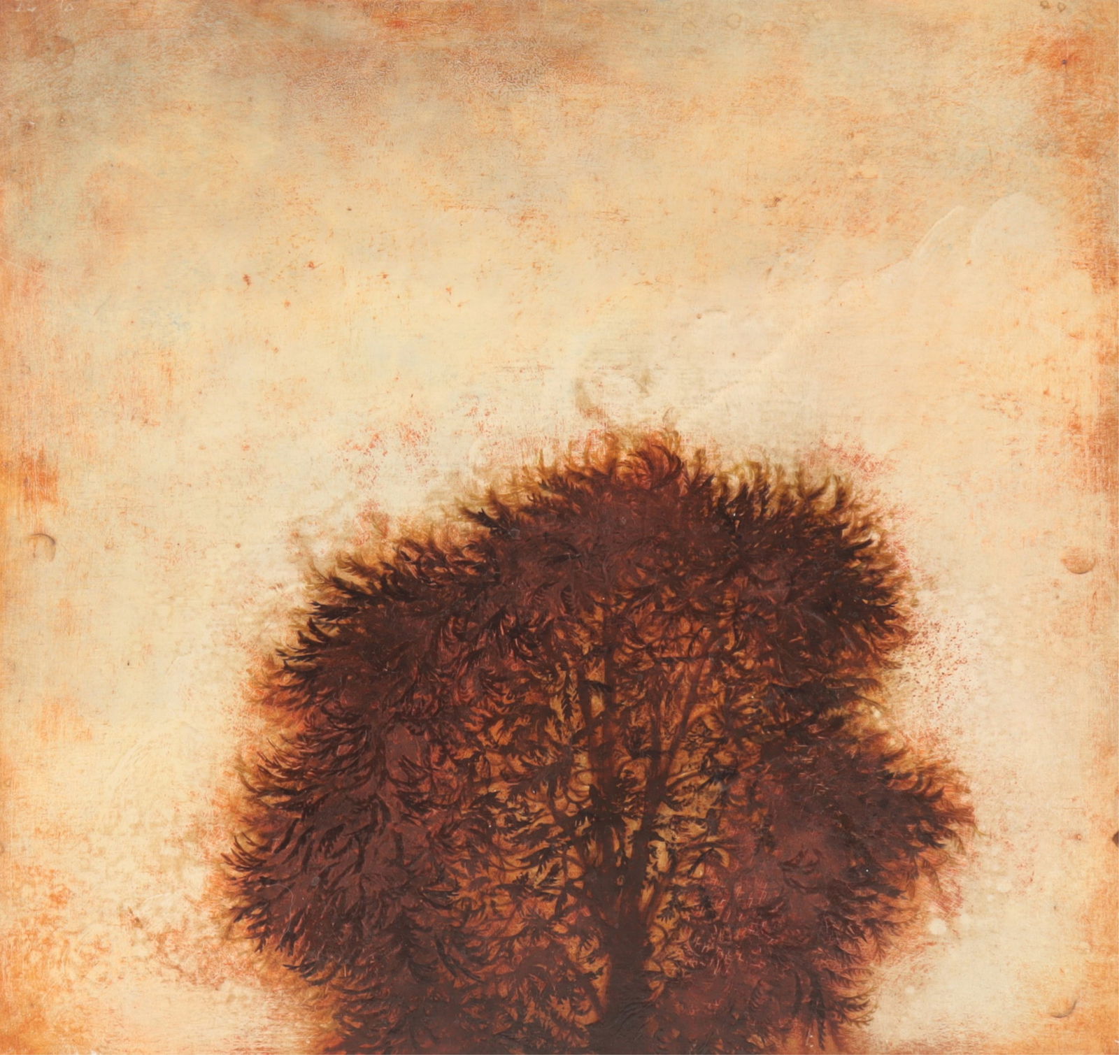Joan Nelson - Untitled - oil/wax on wood (1 of 6)