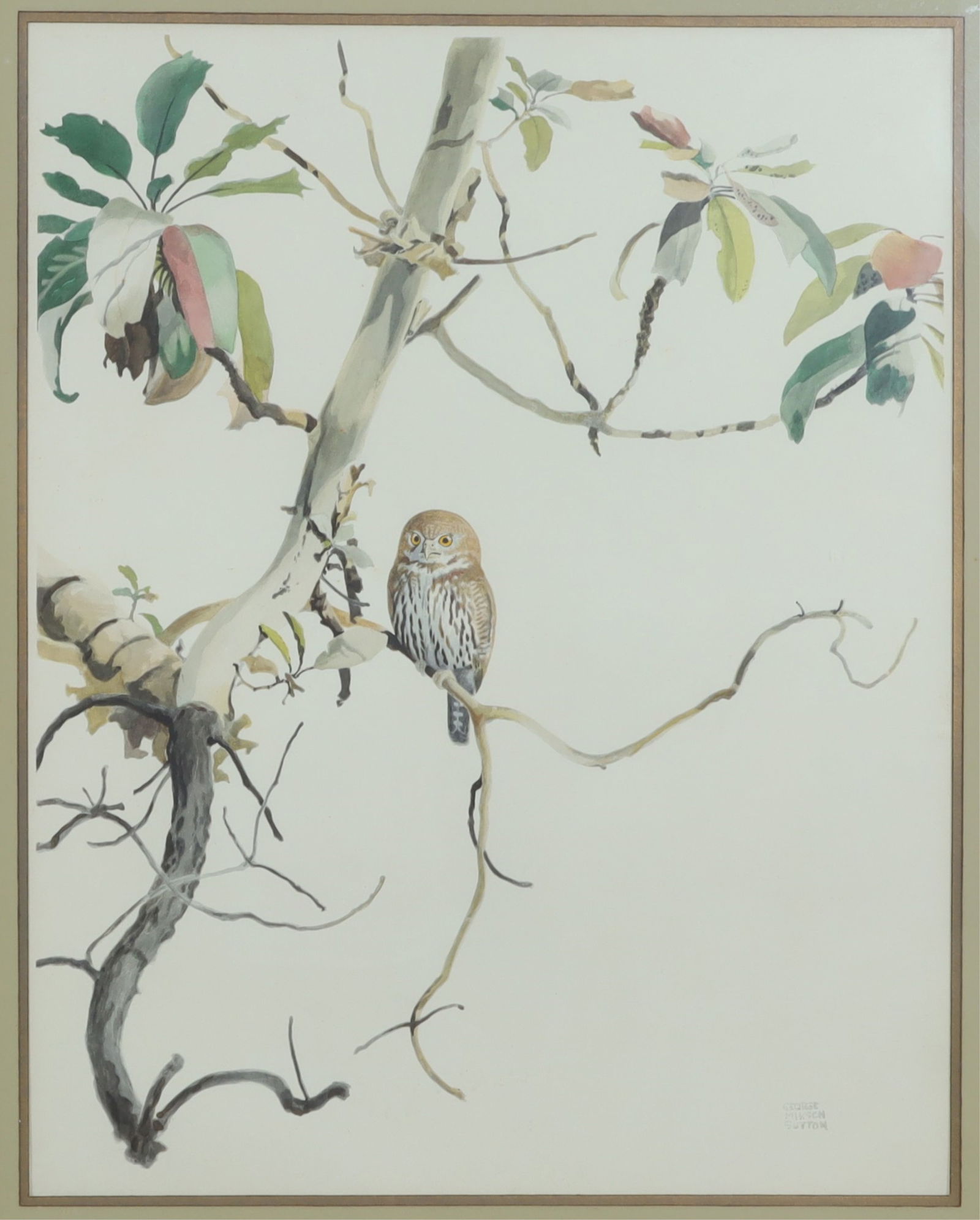 George Miksch Sutten - "OWL" - W/C: George Miksch Sutton (American, 1898- 1982) Water color. Framed. Signed LR. 29" H x 23" W Framed 38.5" H x 32" W.