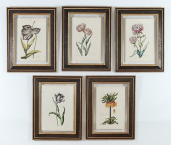 5 Hand Colored Botanical Prints
