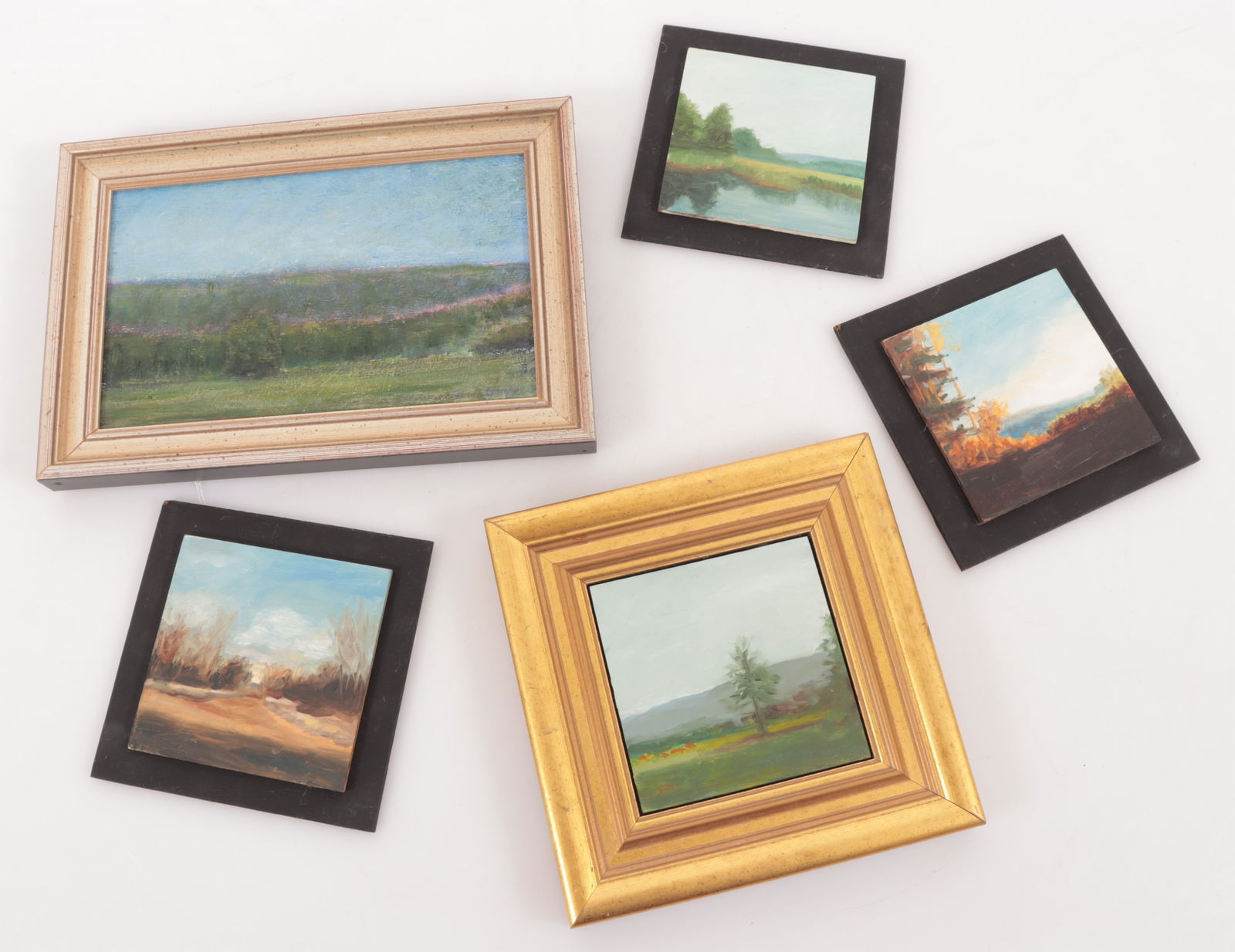 Lennart Swede Ahrstrom - Cornwall Meadow -O/B (1 of 9)