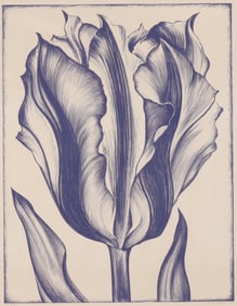 Lowell Nesbitt - Purple "Tulip"