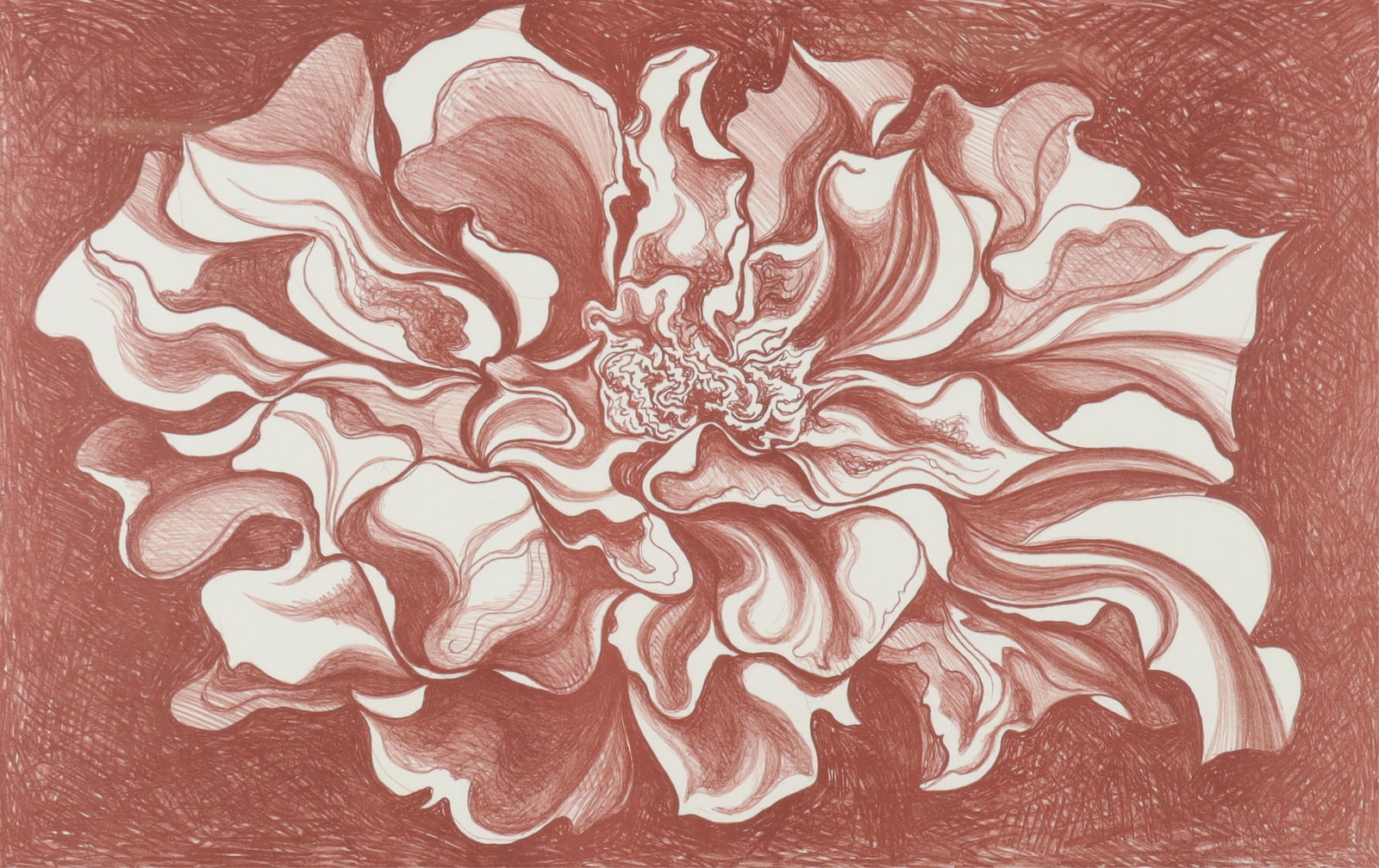 Lowell Nesbitt - Marigold: Lowell Nesbitt - Marigold. Signed lower right 1980. A/P. Plexi. Metal frame.28.5" H x 40.5" W