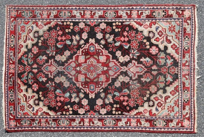 Hamadan Wool Rug 4-3 x 6-6