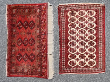 Turkish Wool Rug - Tekke & Saryk Bagface