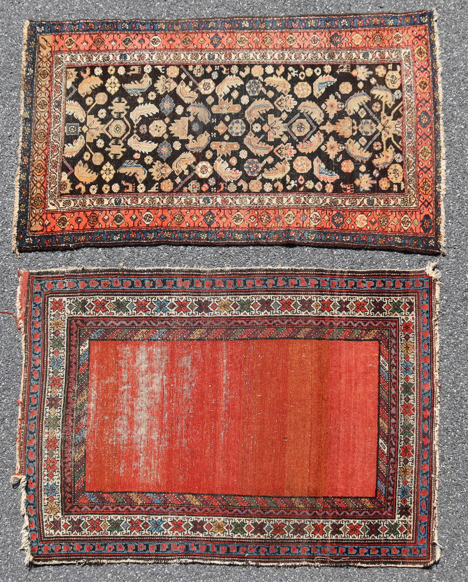 Caucasian & Hamadan Wool Rugs (1 of 12)