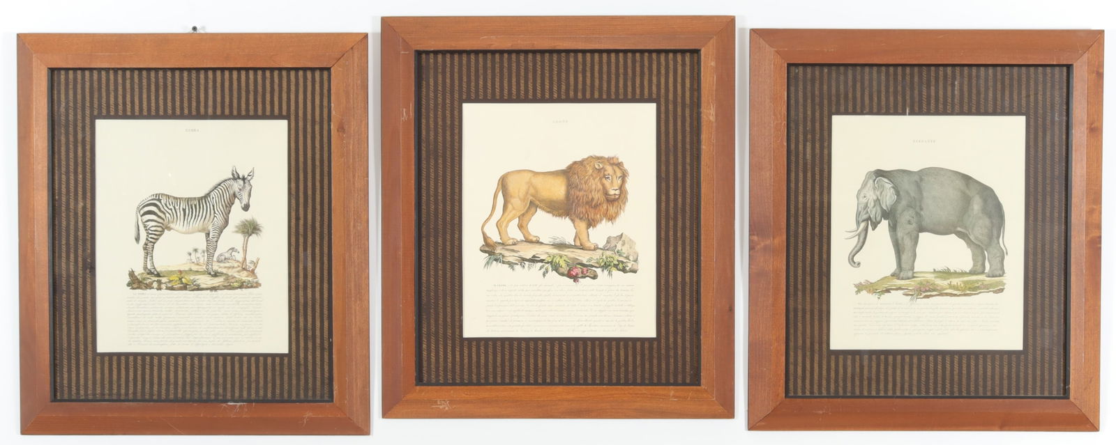 Italian Colored Animal Prints (1 of 12)