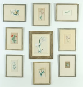 Eight Botanical Watercolors & Print