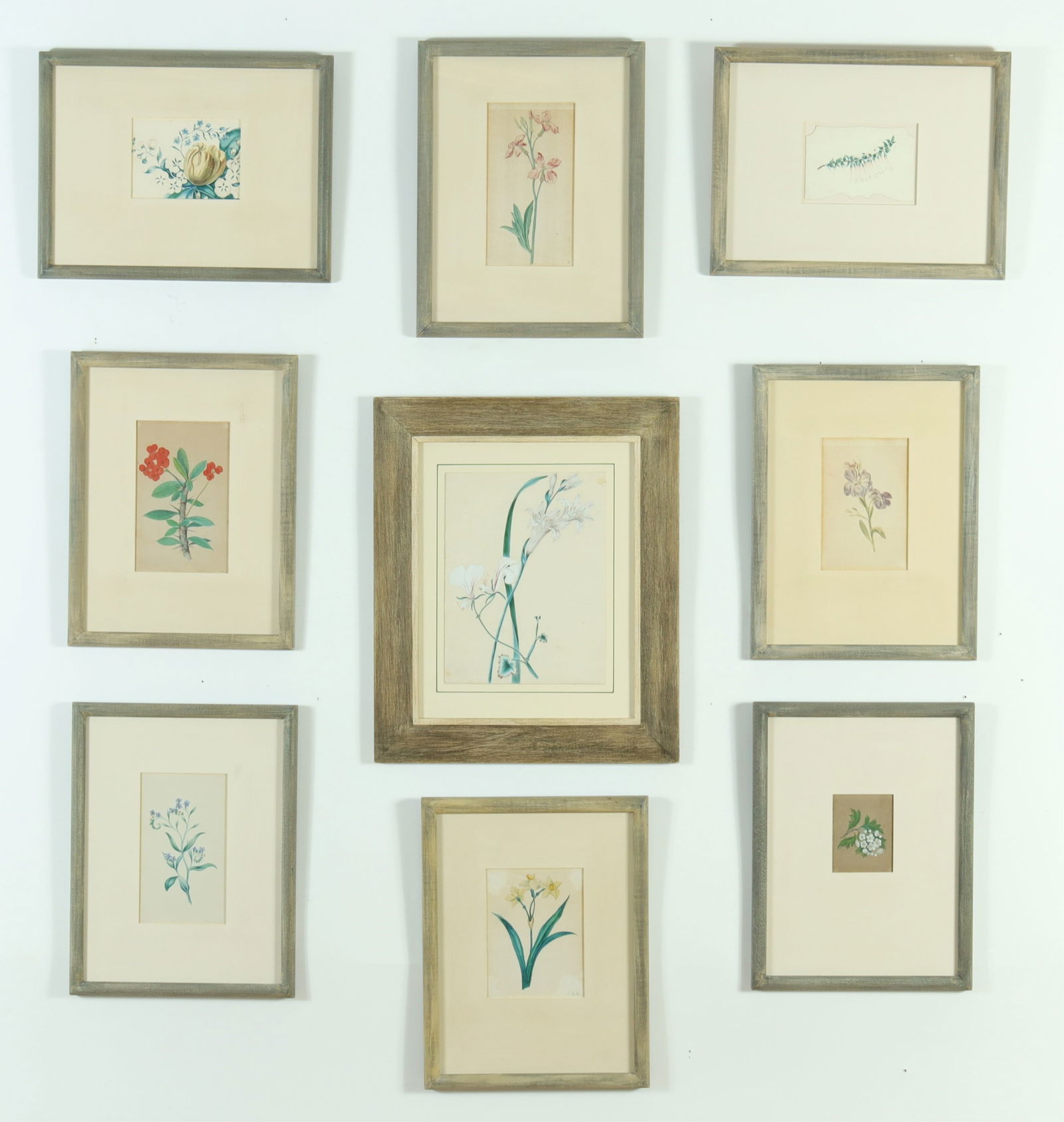 Eight Botanical Watercolors & Print (1 of 11)