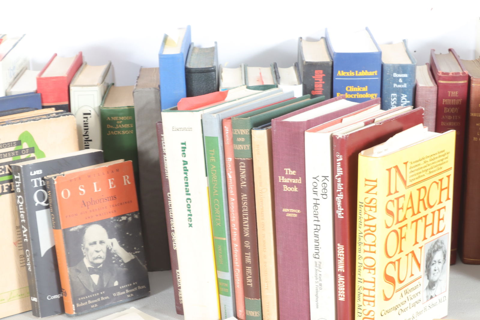 Medical Books from the Library of Dr. George Thorn (1 of 18)