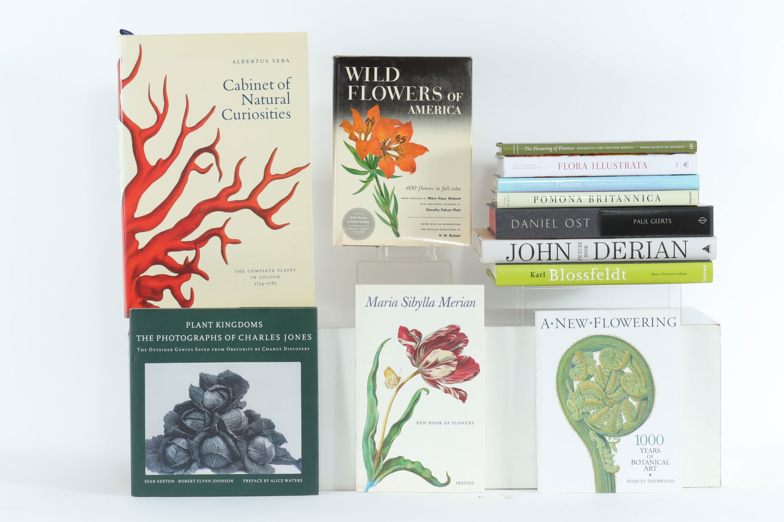 Asst Books - Natural History & Botanicals (12) (1 of 16)