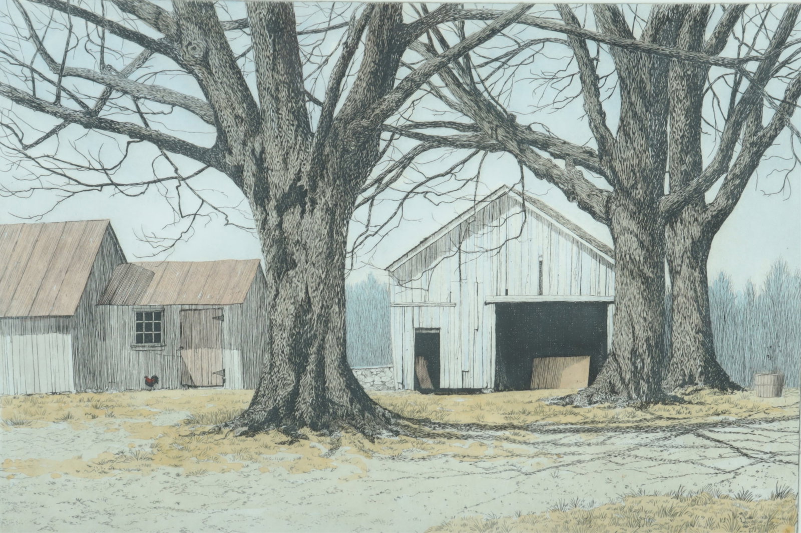 Carol Collette - Farmyard (1 of 11)