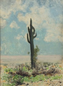 James Swinnerton - Arizona Desert - O/M