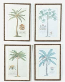 G.D Ehret - Four Royal Palms Etchings