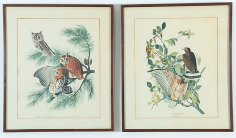 After John James Audubon - Owl & Hawk Lithographs