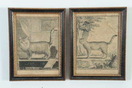 Le Chat D'Angora and Le Chat Sauvage