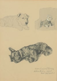 Cecil Aldin - Print of Dogs