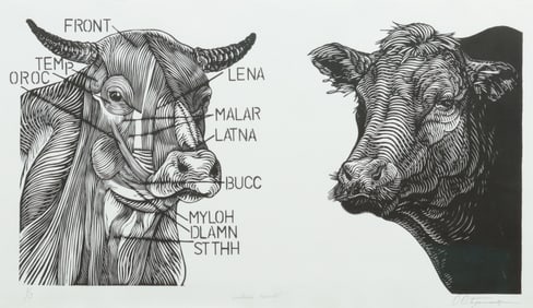 Osmeivy Ortega Pacheco - Anotomica Elemental