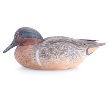 Jim Sprankle Male American Teal Decoy