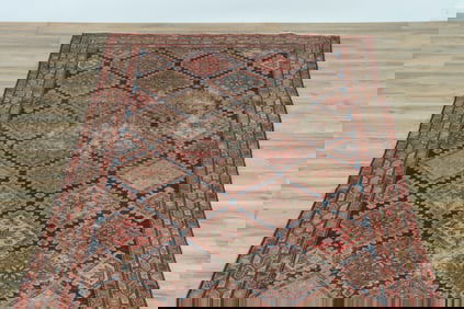 Caucasian Wool Hall Carpet 11-2 x 5