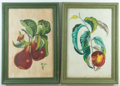 Pr French School Poire & Peche Gouache Botanicals