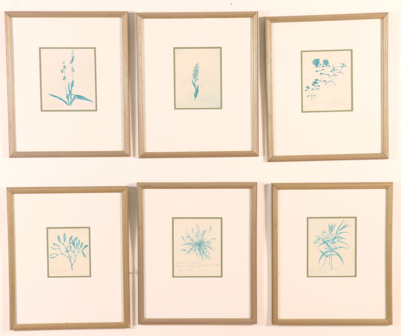 Six Framed Botanical Prints (1 of 9)