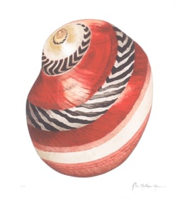 John Matthew Moore - Shell Lithograph