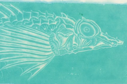 William M. Kent - Gurnard Fish - Slate print