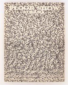 Yayoi Kusama - Floor Show - Signed Poster