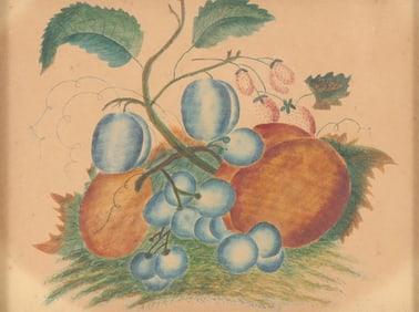 American Fruit Still Life Watercolor & Ink