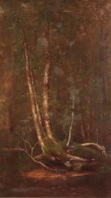 Carleton Wiggins - Forest O/C