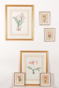 Six Framed Floral Botanical Prints