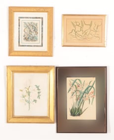 Botanical Illustrations on Paper