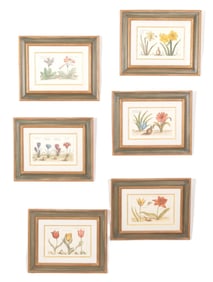 Six French Botanicals