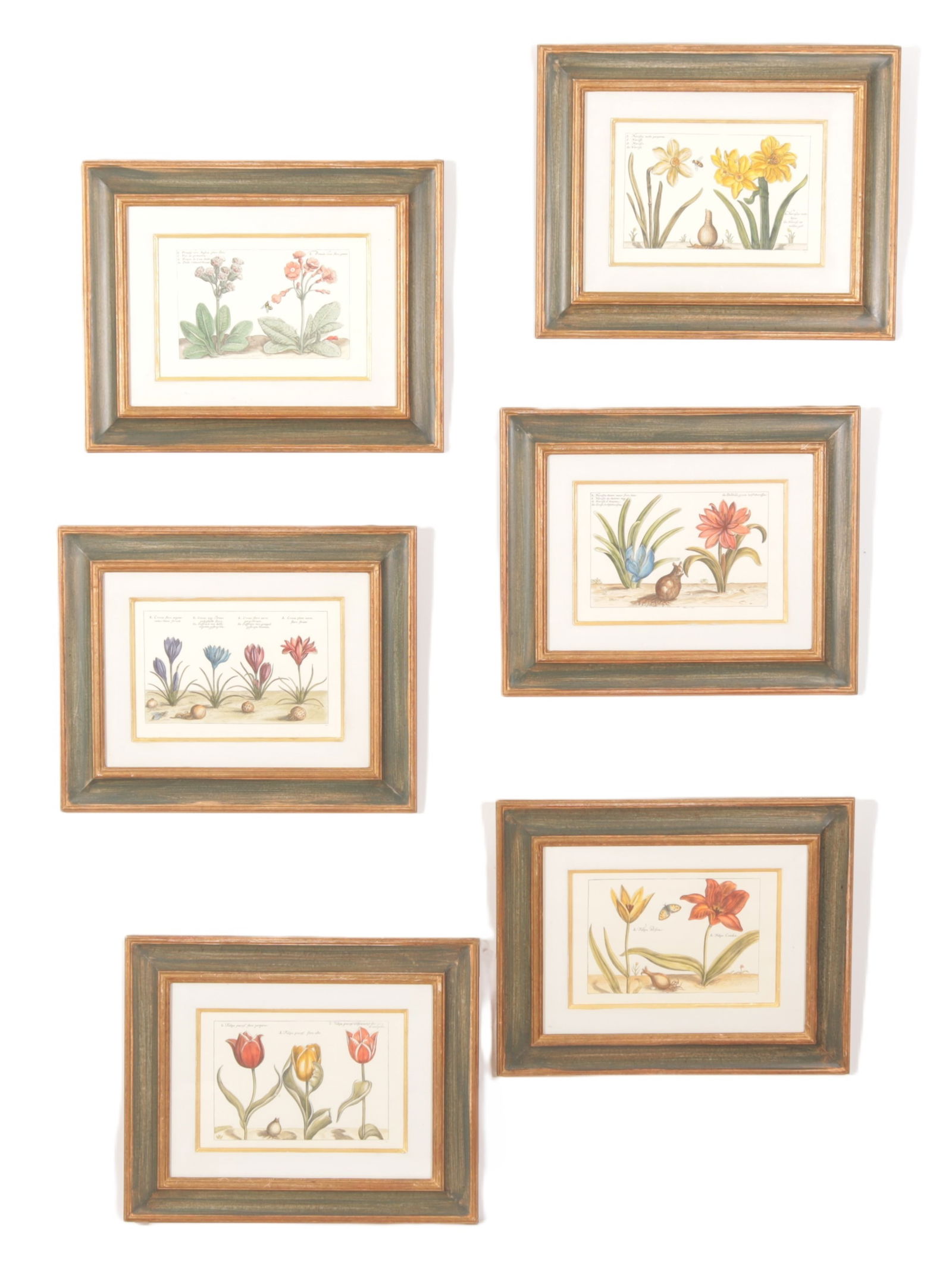 Six French Botanicals (1 of 6)