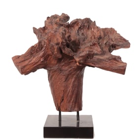 Driftwood Sculpture on Black Formica Plinth