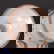 item-210472827=7