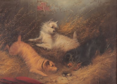 George Armfield - Three Terriers