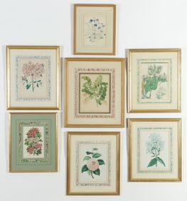 Group of Botanical Prints